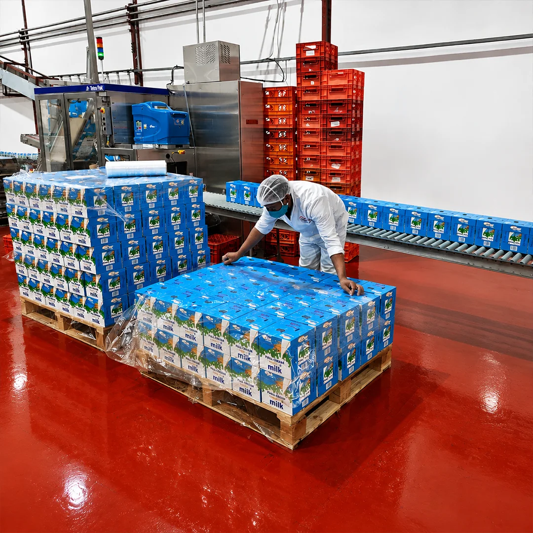 Food and FMCG distribution logistics